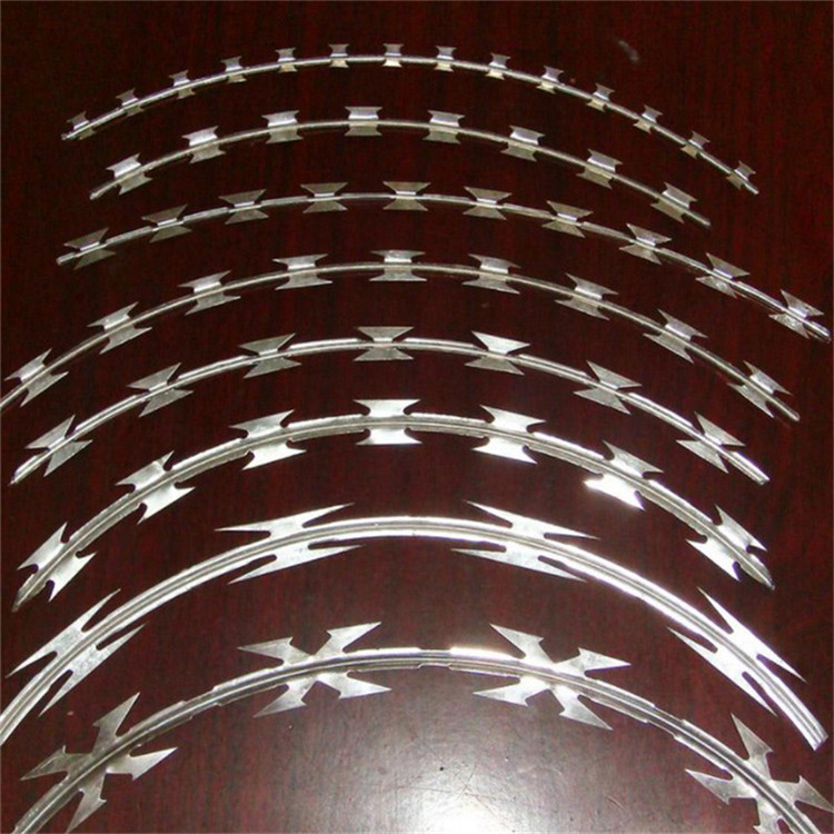 BTO-22刀刺網(wǎng)圖片3 BTO-22刀刺網(wǎng)圖片3